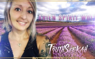 Arien Spirit Wolf | TruthSeekah Podcast | Live Q&A