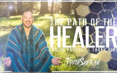 The Path of the Healer | Indigo Prophet / Tarek Bibi