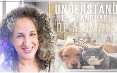 Understand The Intuitive Language of Animals | Nora Truscello